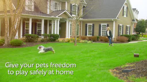 pet safe dog fence wireless