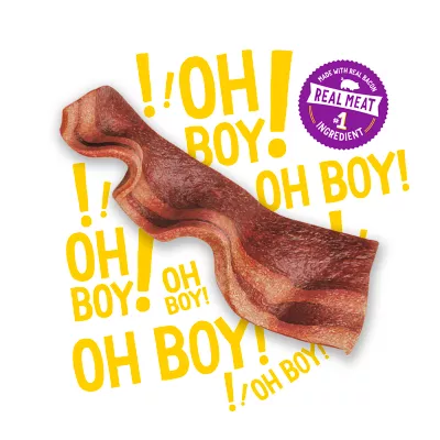 Product Beggin' Strips® Dog Treat - Bacon