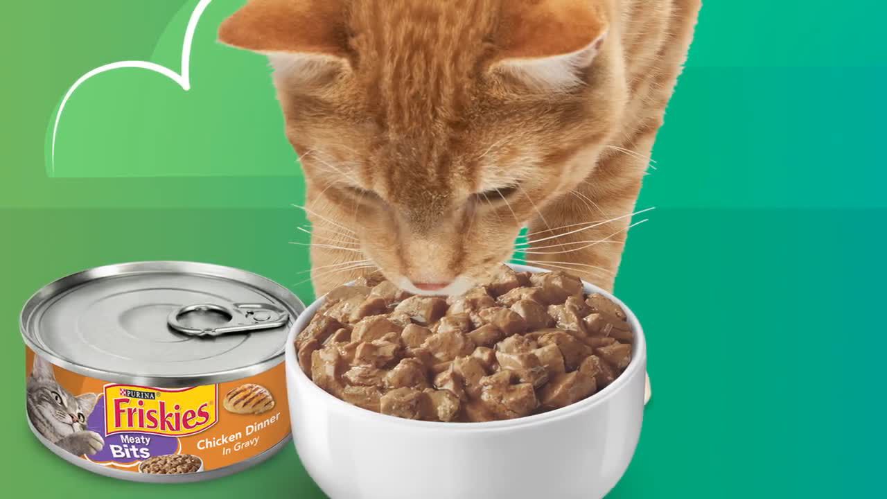 Purina Friskies Meaty Bits Adult Cat Wet Food 6.04 oz