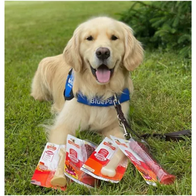 Product Nylabone® DuraChew® Bone Chew Dog Toy