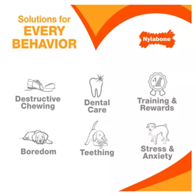 Product Nylabone® DuraChew® Bone Chew Dog Toy