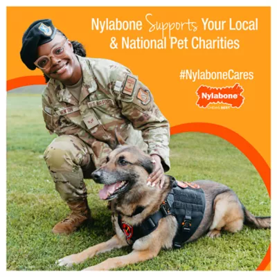 Product Nylabone® DuraChew® Bone Chew Dog Toy