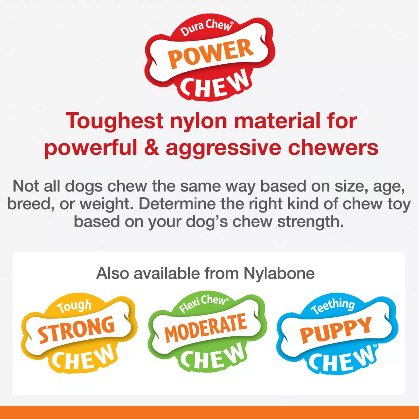 Product Nylabone® DuraChew® Bone Chew Dog Toy