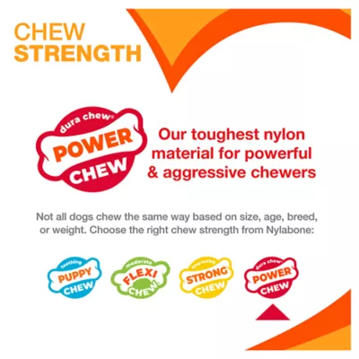 Product Nylabone® DuraChew® Bone Chew Dog Toy