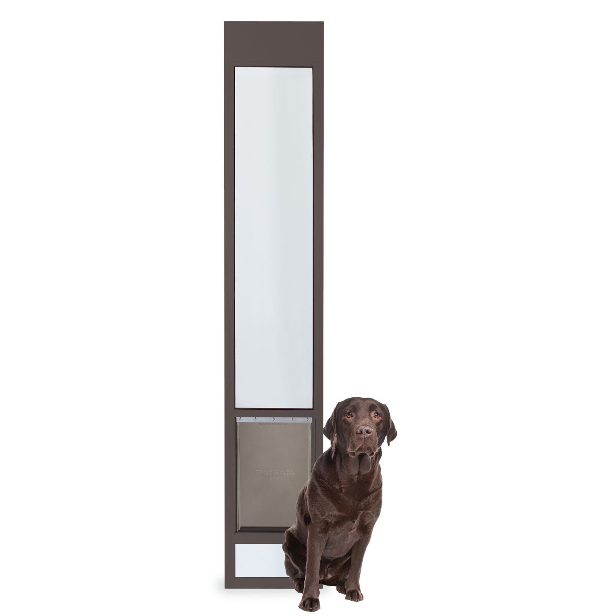 petsmart pet doors