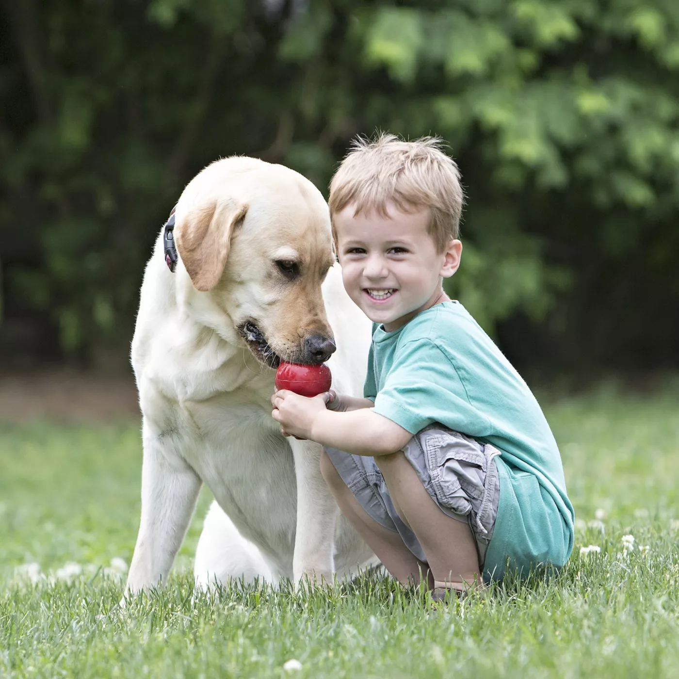 Product KONG® Classic Dog Toy - Treat Dispensing