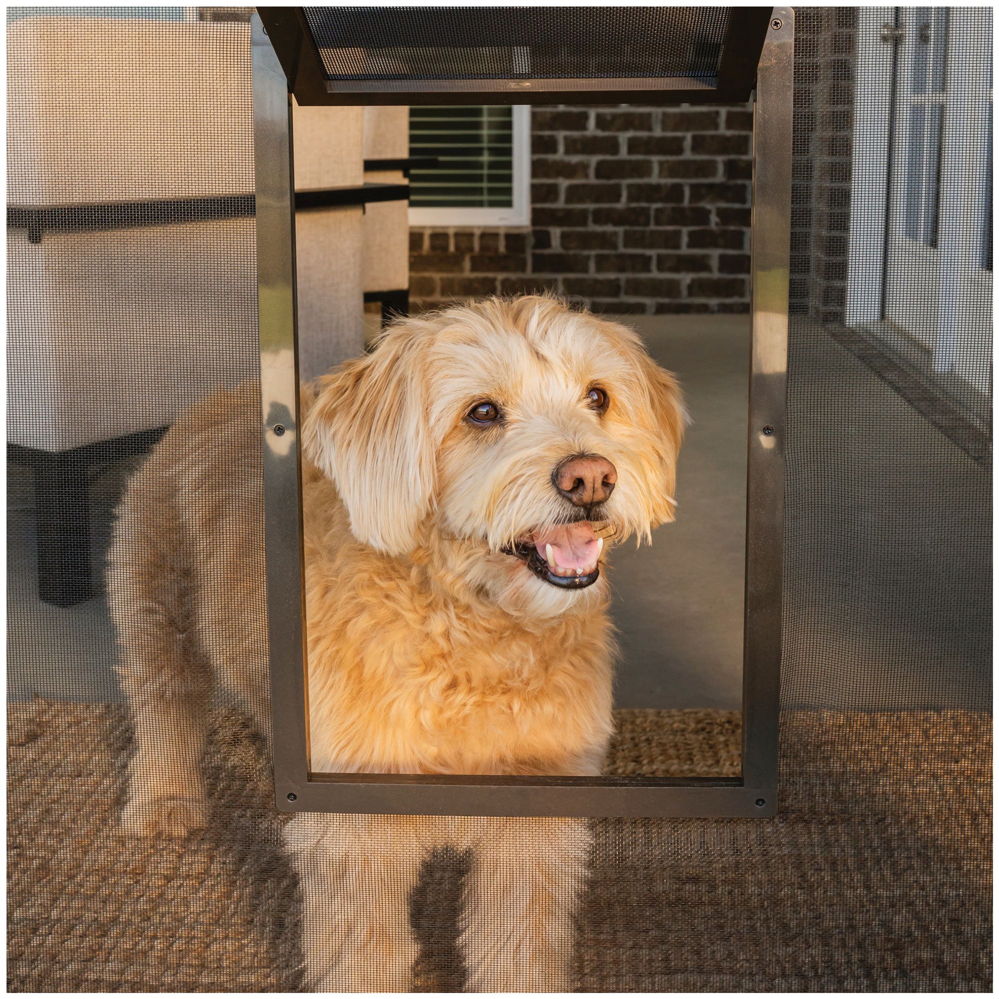 Screen door with outlet dog door menards