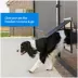 PetSafe® Screen Door - Pets Up to 30 lb - Window Screens and Porch Screens image thumbnail 2