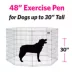MidWest Gold Exercise Pen with Door image thumbnail 4