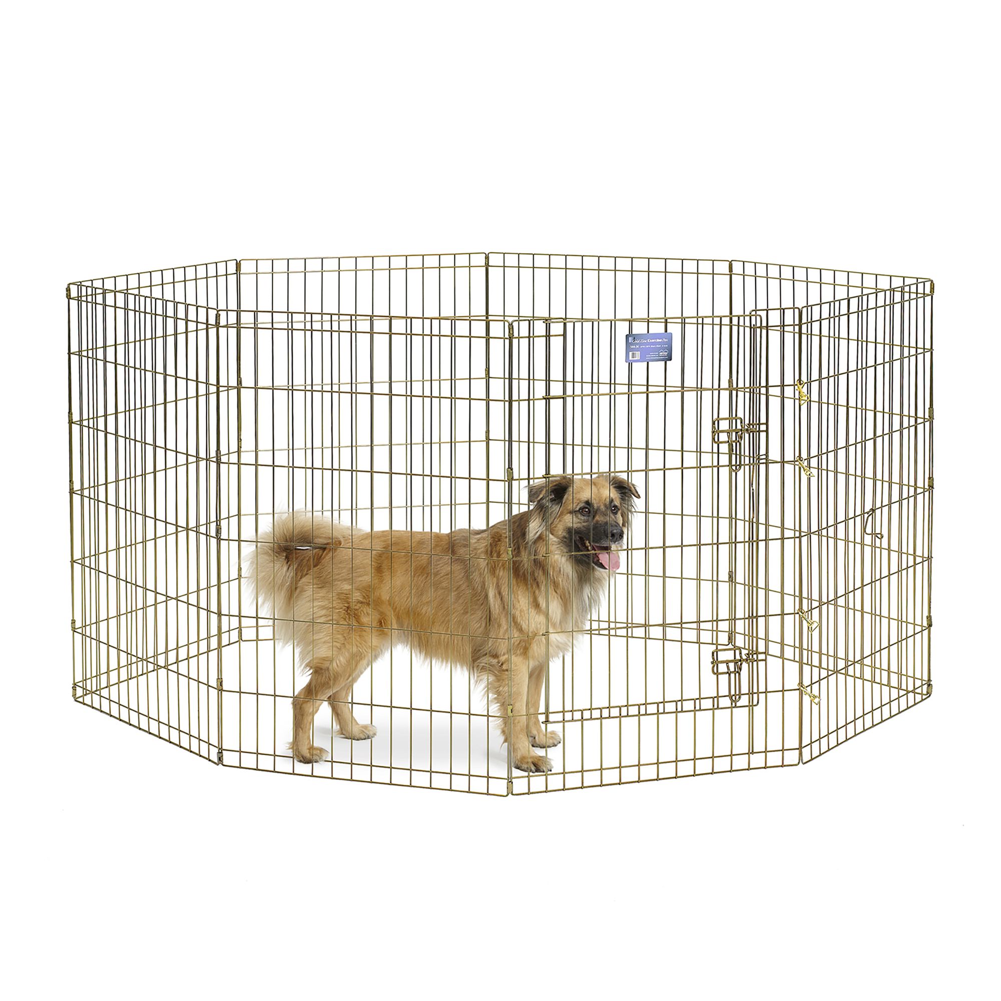 Dog best sale playpen petsmart