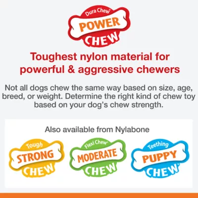 Product Nylabone® DuraChew® Bone Chew Dog Toy