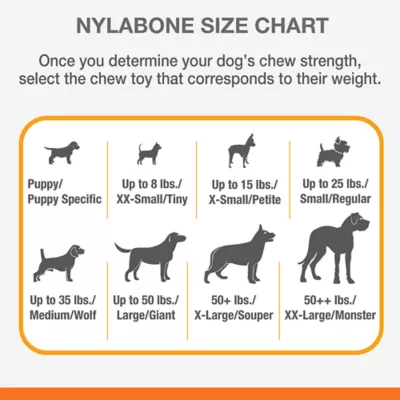 Product Nylabone® DuraChew® Bone Chew Dog Toy