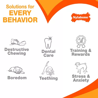 Product Nylabone® DuraChew® Bone Chew Dog Toy