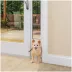 PetSafe® 1Piece Sliding Glass Pet Door Adjustable Height 75 7/8" to 81" image thumbnail 1