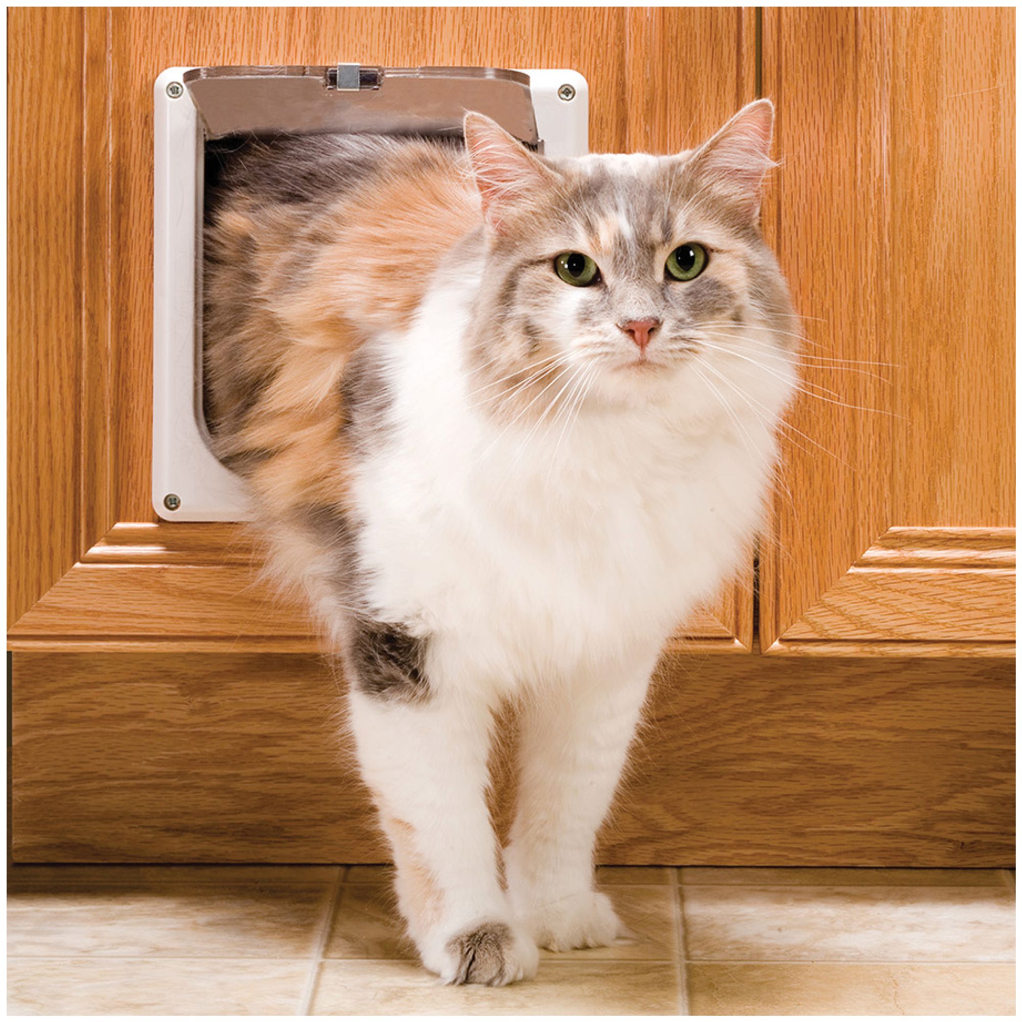 cat door with magnetic collar