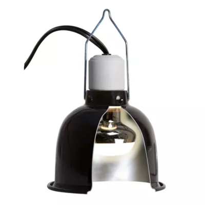 Product Zoo Med Reptile Basking Spot Lamp