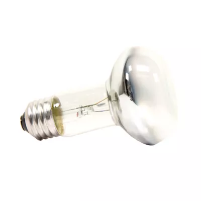 Product Zoo Med Reptile Basking Spot Lamp