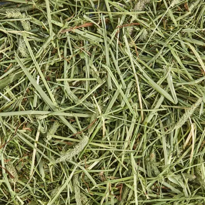 KAYTEE® All Natural Timothy Hay - Image 3