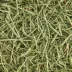 KAYTEE® All Natural Timothy Hay image thumbnail 3