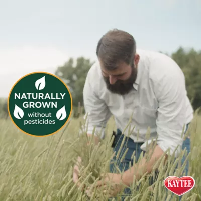 KAYTEE® All Natural Timothy Hay - Image 4