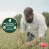 KAYTEE® All Natural Timothy Hay image thumbnail 4