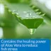 API® Stress Coat Tap Water Aquarium Conditioner image thumbnail 4