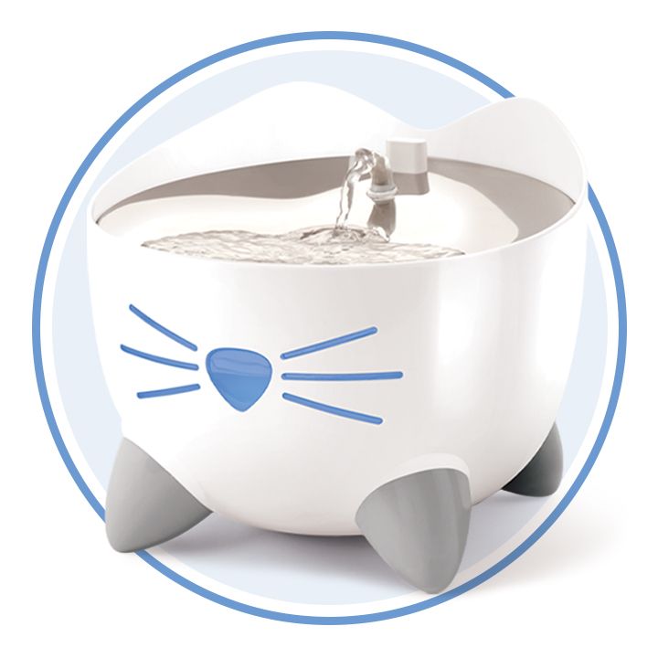 Shop Catit cat fountains and filters