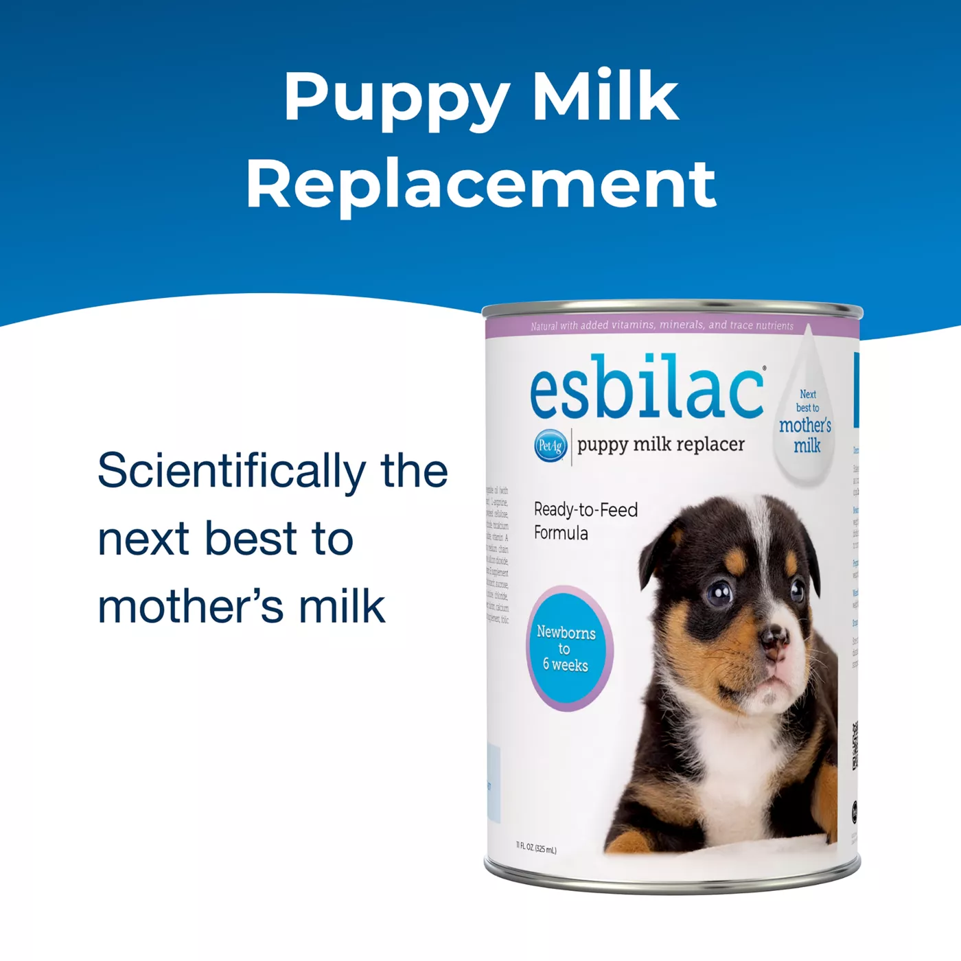 Formula milk for newborn puppies best sale