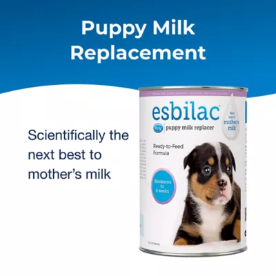 Puppy milk replacer for dogs hotsell