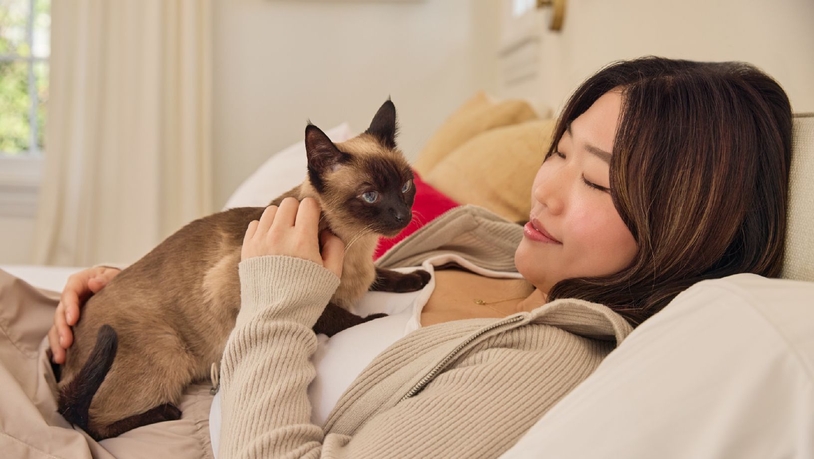 Top 25 Cities Cat Article Hero Image