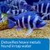 API® Tap Water Conditioner Super Strength Aquarium Dechlorinator image thumbnail 4