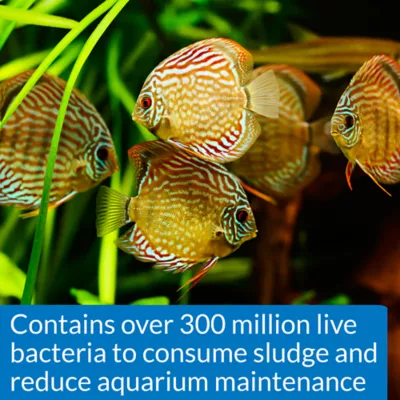 Product API® Stress Zyme Aquarium Water Conditioner