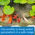 API® Wide Range pH Pond Water Test Kit image thumbnail 3