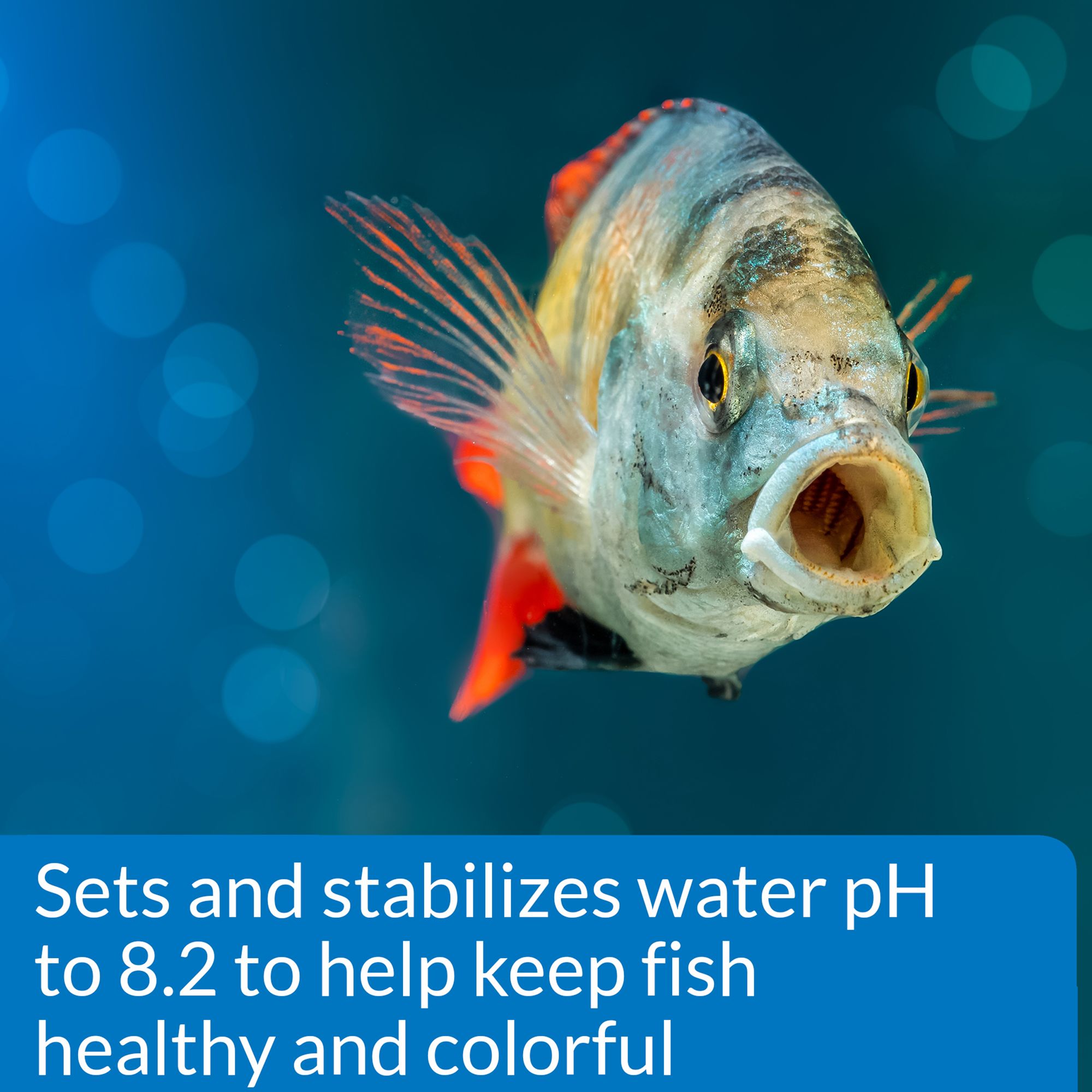 API® Proper pH 8.2 Aquarium Water pH Conditioner for Aquarium pH Control - thumbnail 4