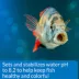 API® Proper pH 8.2 Aquarium Water pH Conditioner image thumbnail 4