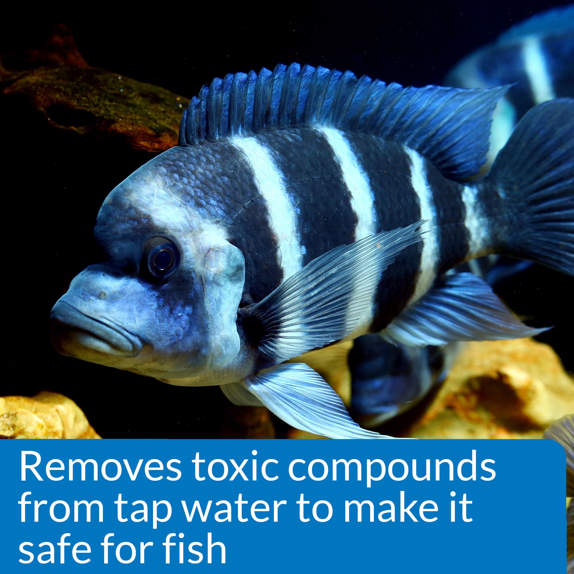 API® Proper pH 8.2 Aquarium Water pH Conditioner for Aquarium pH Control - thumbnail 5
