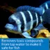 API® Proper pH 8.2 Aquarium Water pH Conditioner image thumbnail 5