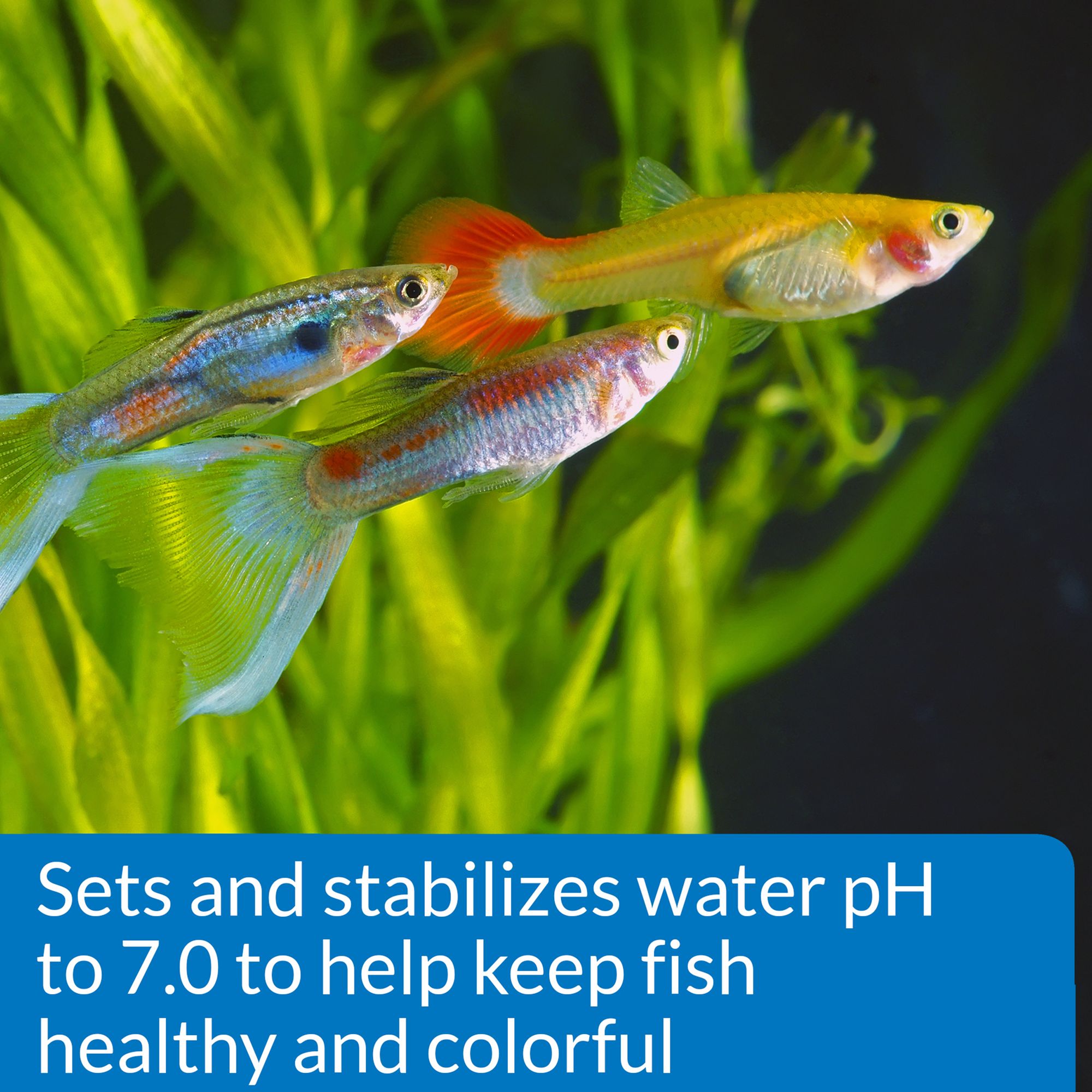 API® Proper pH 7.0 Aquarium Water pH Conditioner for Aquarium pH Control - thumbnail 3
