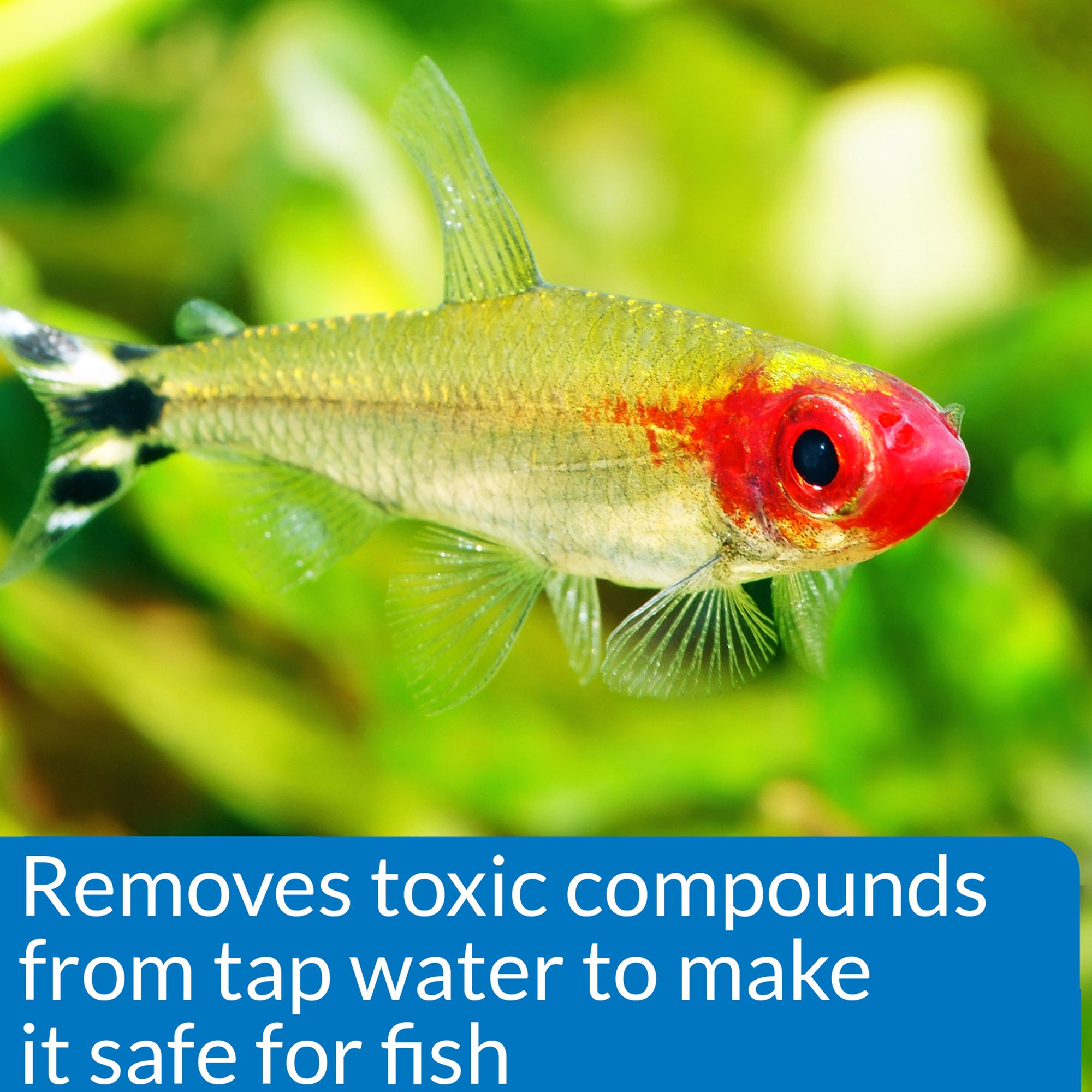 API® Proper pH 7.0 Aquarium Water pH Conditioner for Aquarium pH Control - thumbnail 4