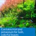 API® Leaf Zone Aquarium Plant Fertilizer image thumbnail 3