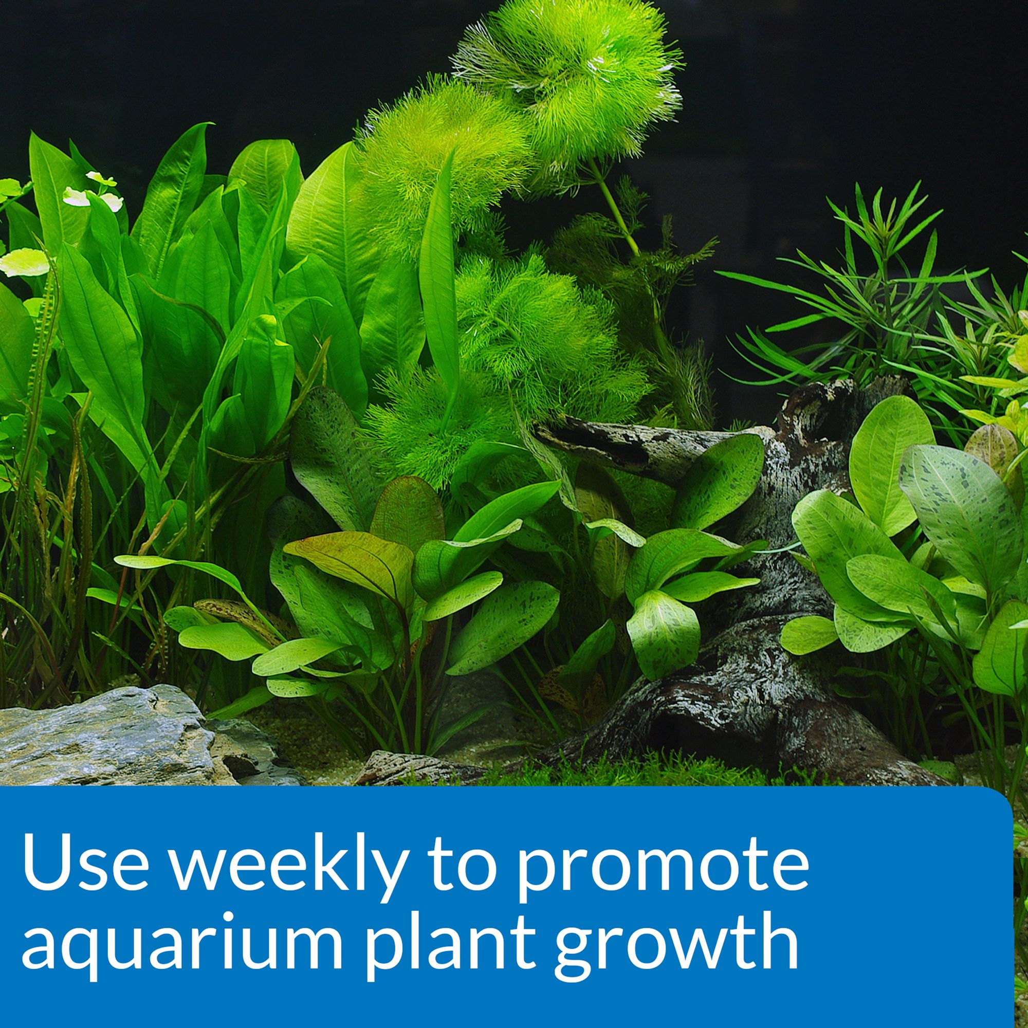 API® Leaf Zone Aquarium Plant Fertilizer for Live Aquarium Plants - thumbnail 2