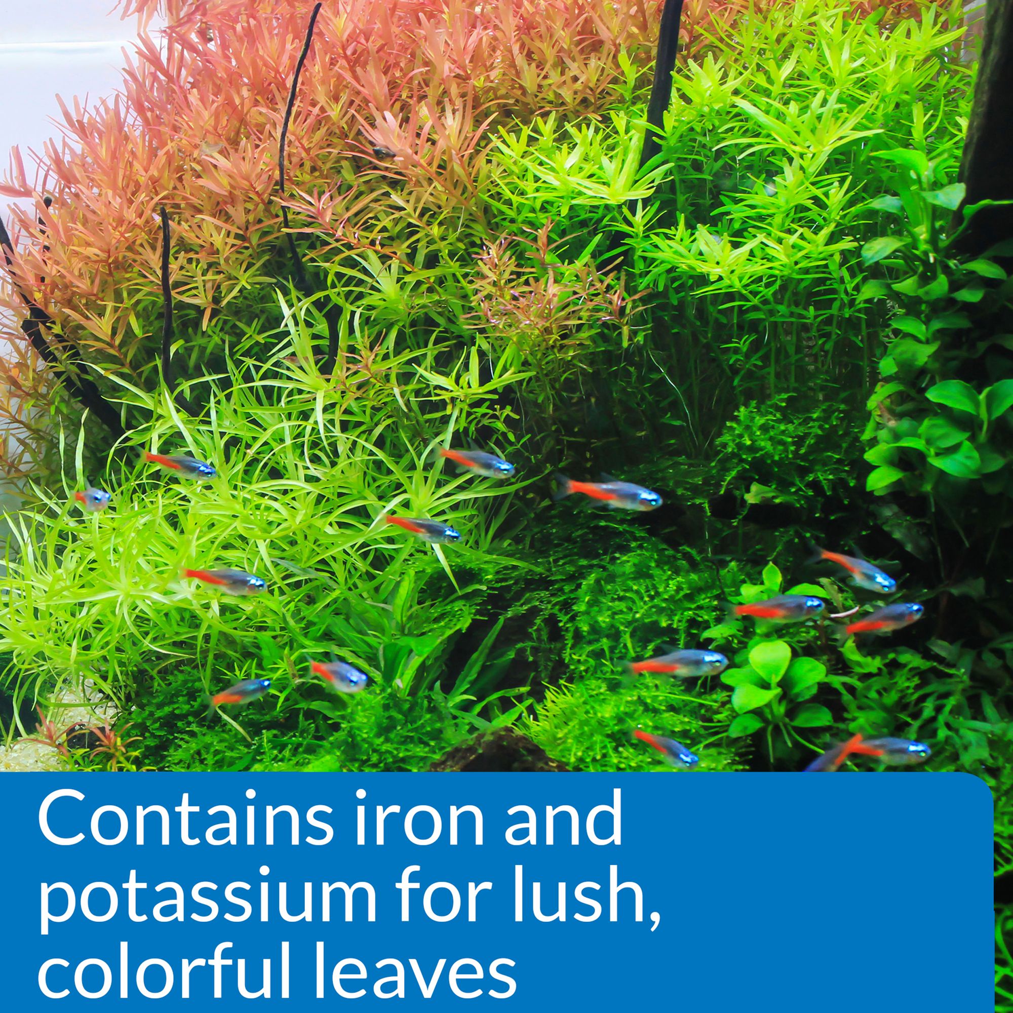 API® Leaf Zone Aquarium Plant Fertilizer for Live Aquarium Plants - thumbnail 3