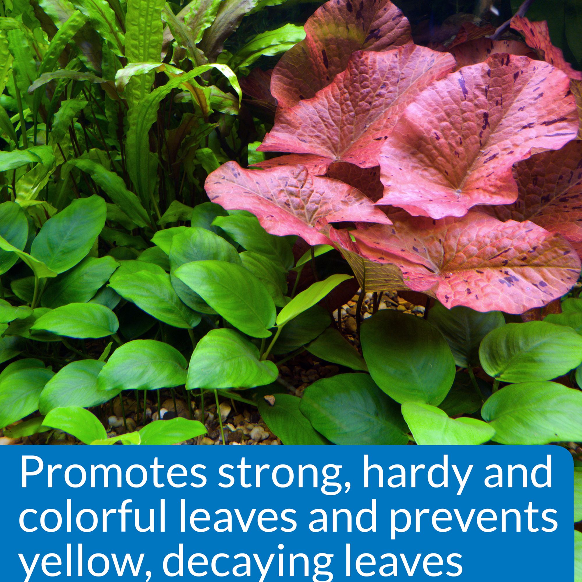 API® Leaf Zone Aquarium Plant Fertilizer for Live Aquarium Plants - thumbnail 4