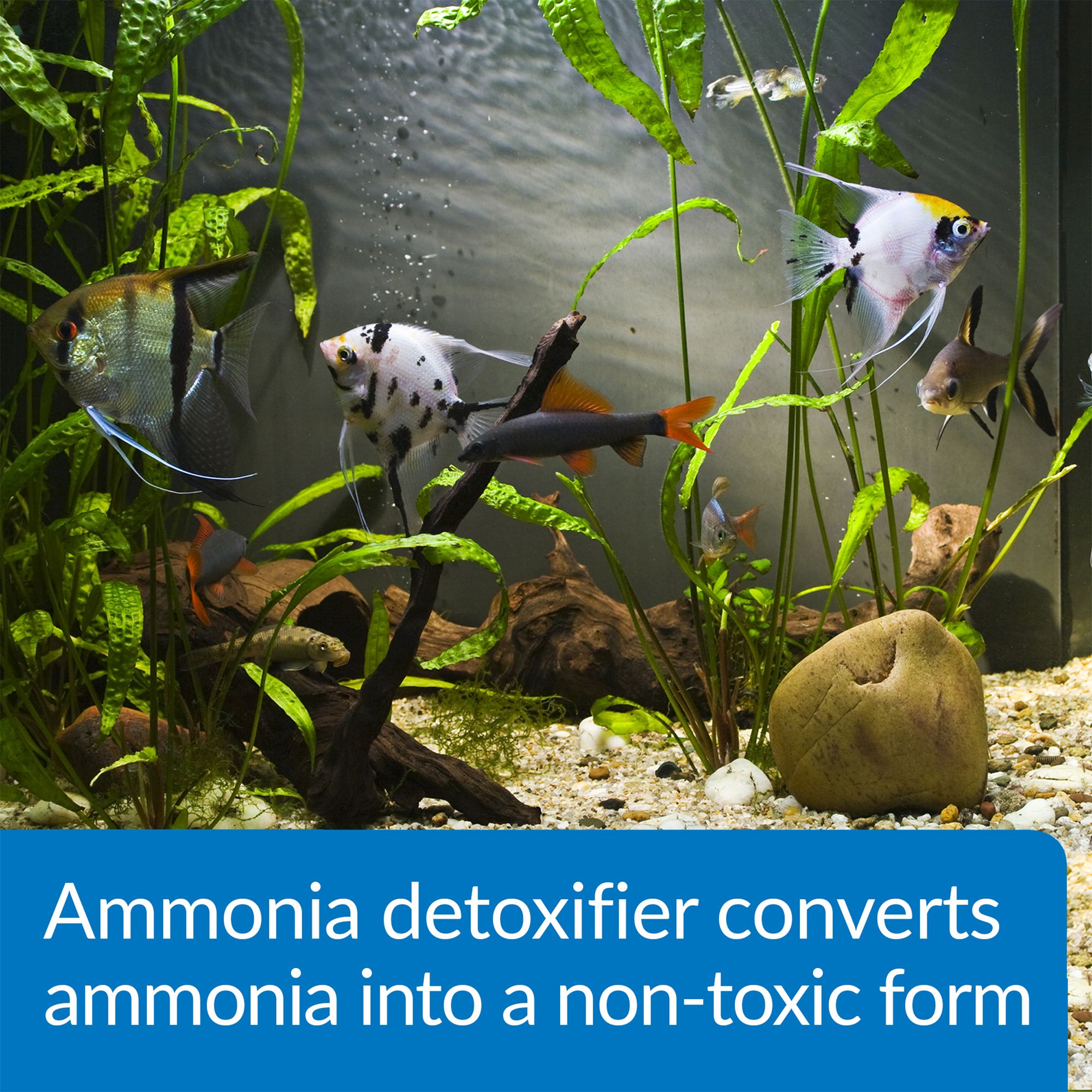 API® Ammo Lock Ammonia Detoxifier - thumbnail 4