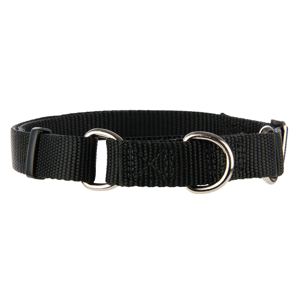 pinch collar petsmart