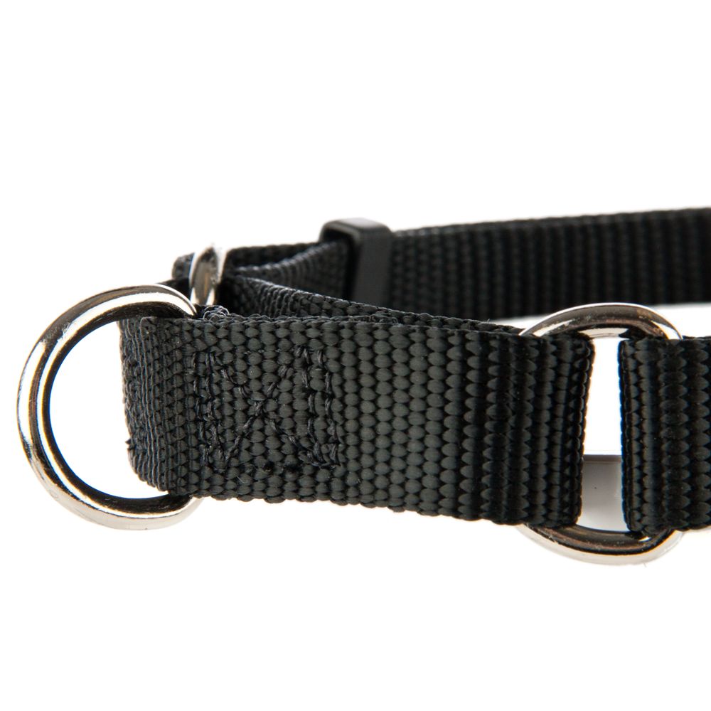 top paw martingale dog collar