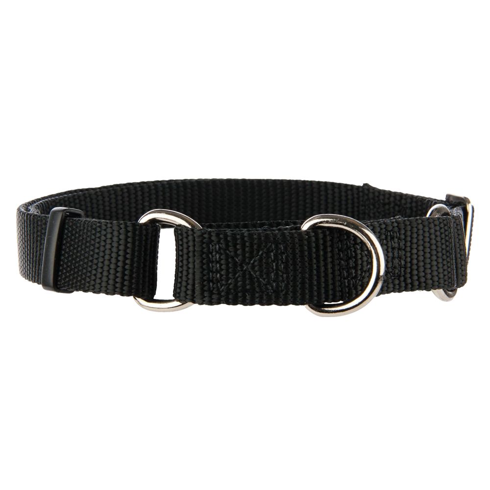 top paw martingale dog collar