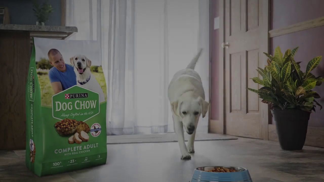 dog chow complete adult