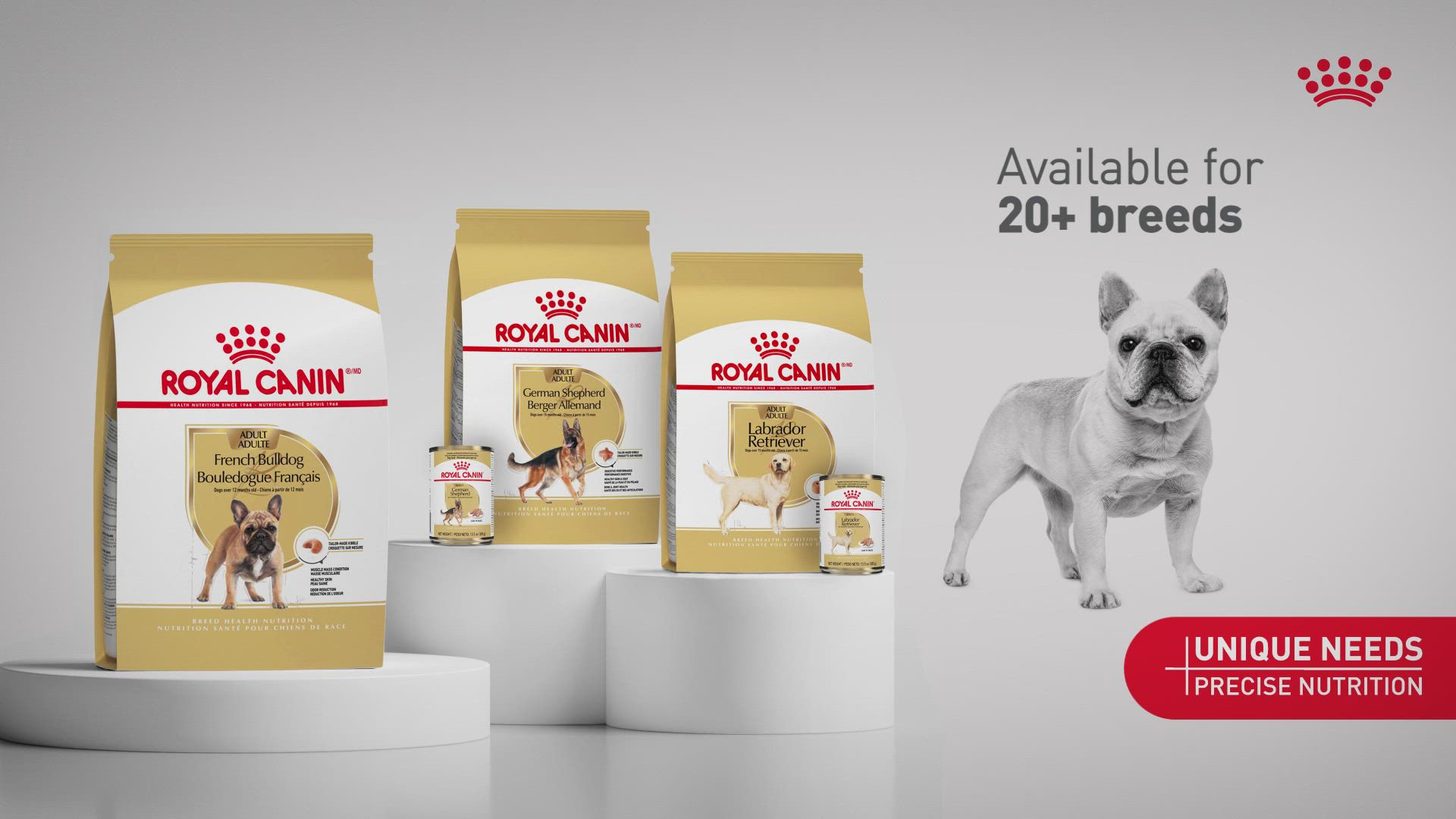 Royal Canin Breed Health Nutrition French Bulldog Adult Dog Dry Food
