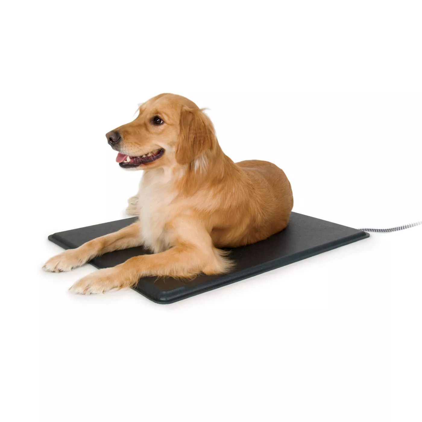 Petsmart shops outdoor heating pad